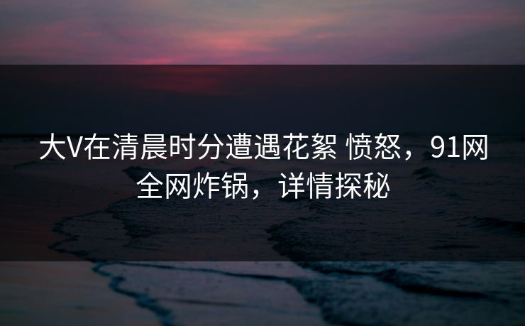 大V在清晨时分遭遇花絮 愤怒，91网全网炸锅，详情探秘