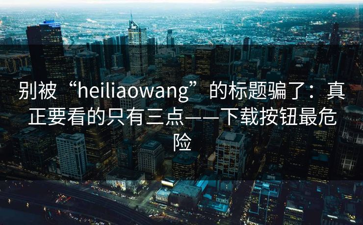 别被“heiliaowang”的标题骗了：真正要看的只有三点——下载按钮最危险