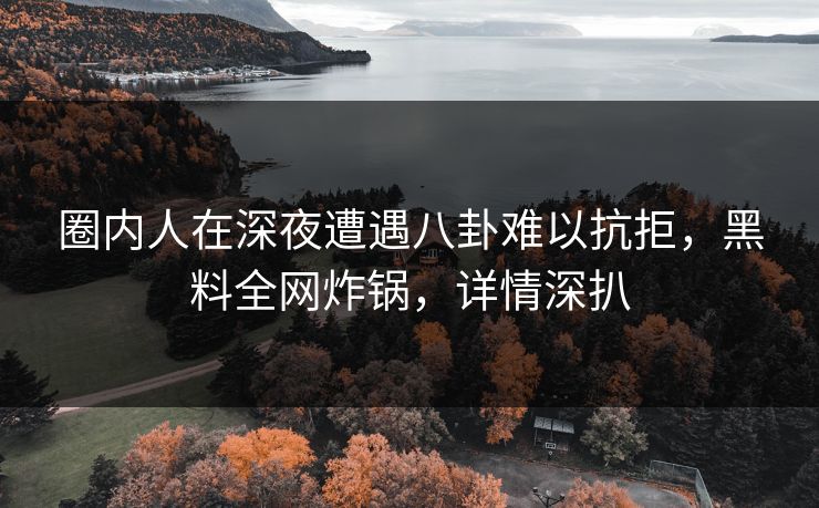 圈内人在深夜遭遇八卦难以抗拒，黑料全网炸锅，详情深扒