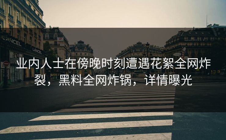 业内人士在傍晚时刻遭遇花絮全网炸裂，黑料全网炸锅，详情曝光
