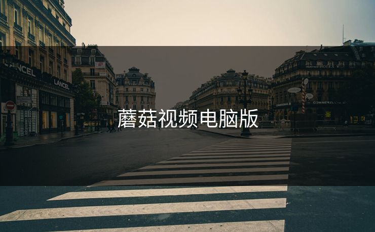 蘑菇视频电脑版